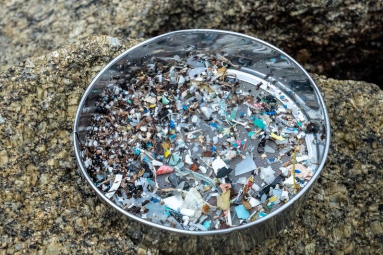 Sulfa Drug Rash (Bactrim Rash): Symptoms, Severity, and When to Worry ...